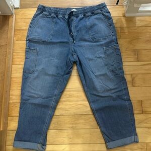 Jogger Style Jeans- 2X